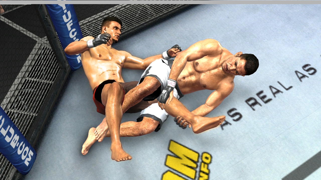 Скриншот из игры UFC 2009: Undisputed - 19