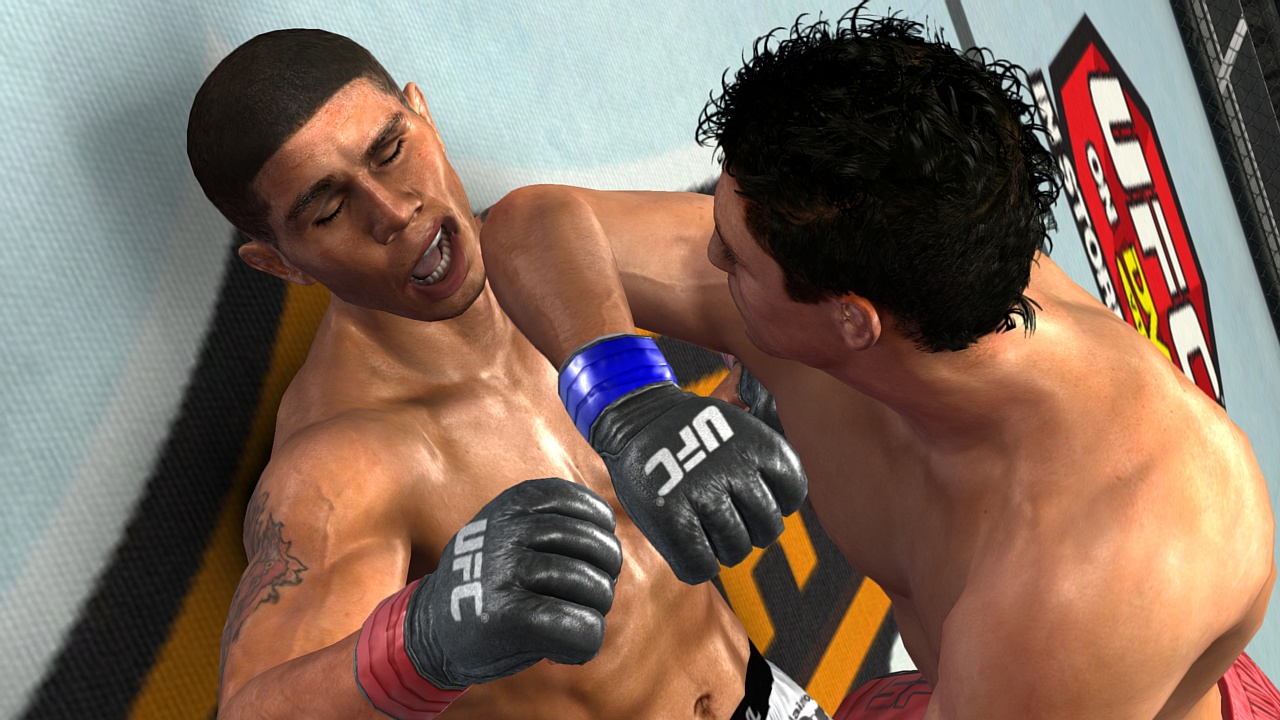 Скриншот из игры UFC 2009: Undisputed - 25