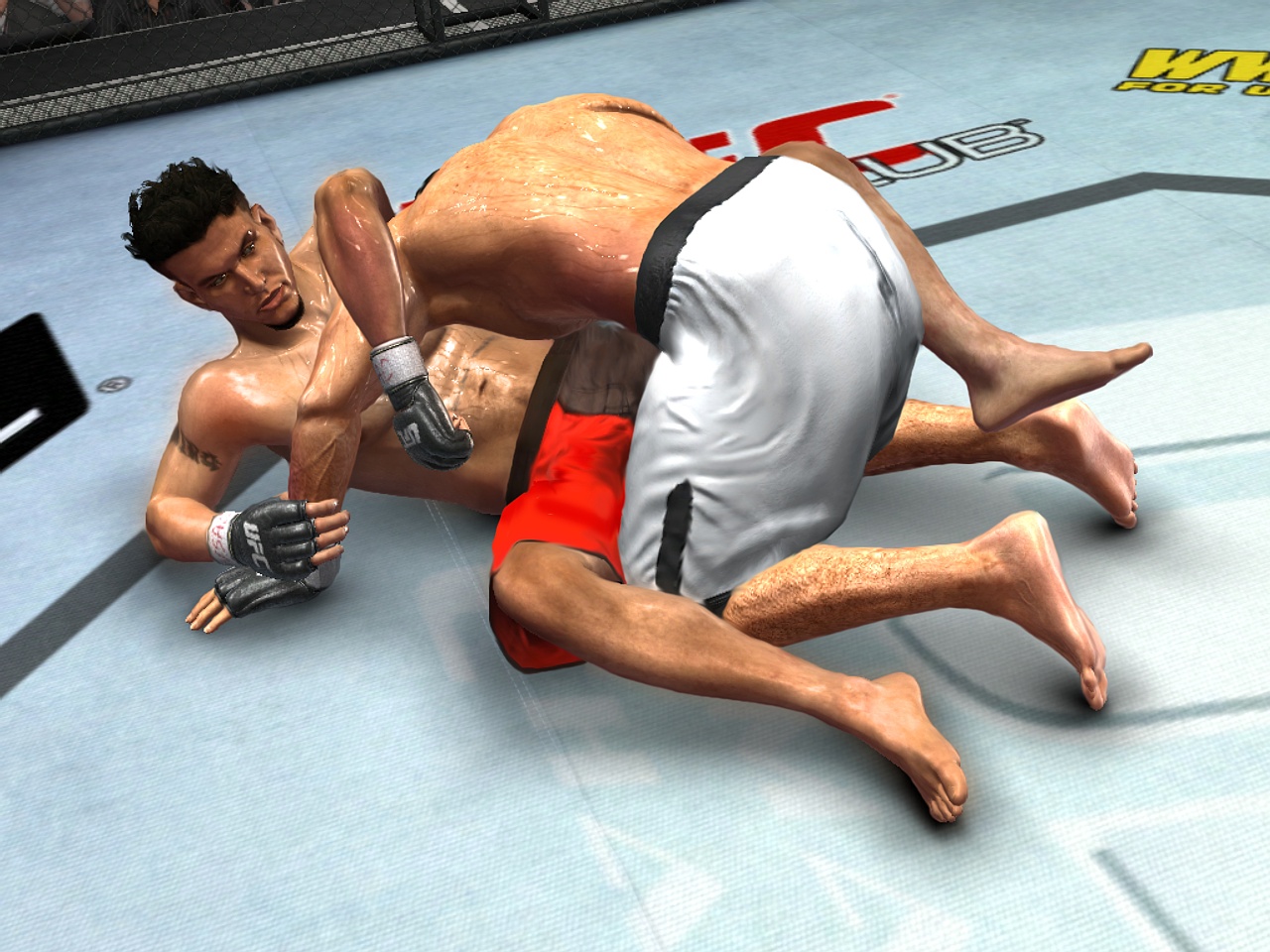 Скриншот из игры UFC 2009: Undisputed - 61