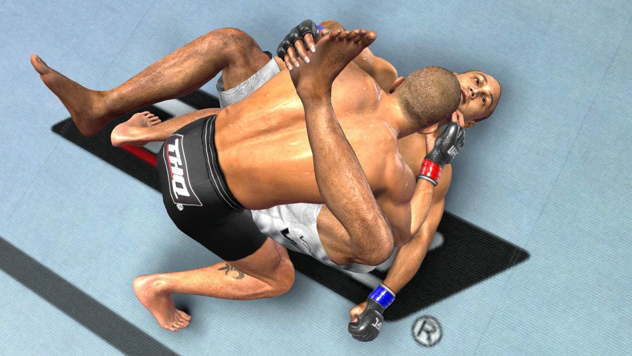 Скриншот из игры UFC 2009: Undisputed - 95