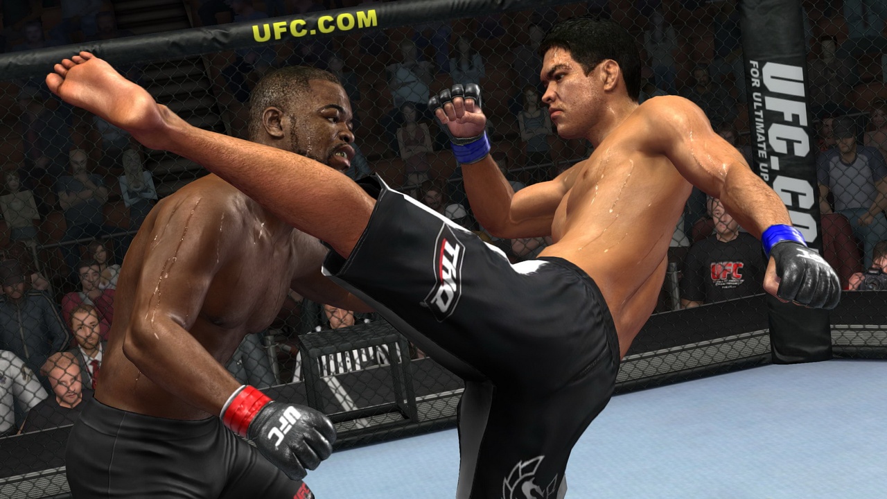 Скриншот из игры UFC 2009: Undisputed - 123