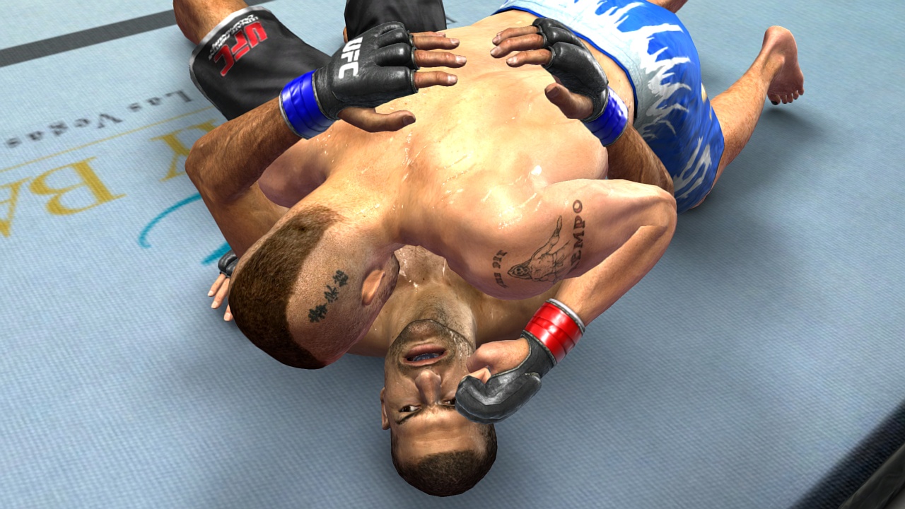 Скриншот из игры UFC 2009: Undisputed - 85