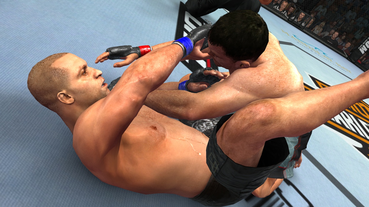Скриншот из игры UFC 2009: Undisputed - 77