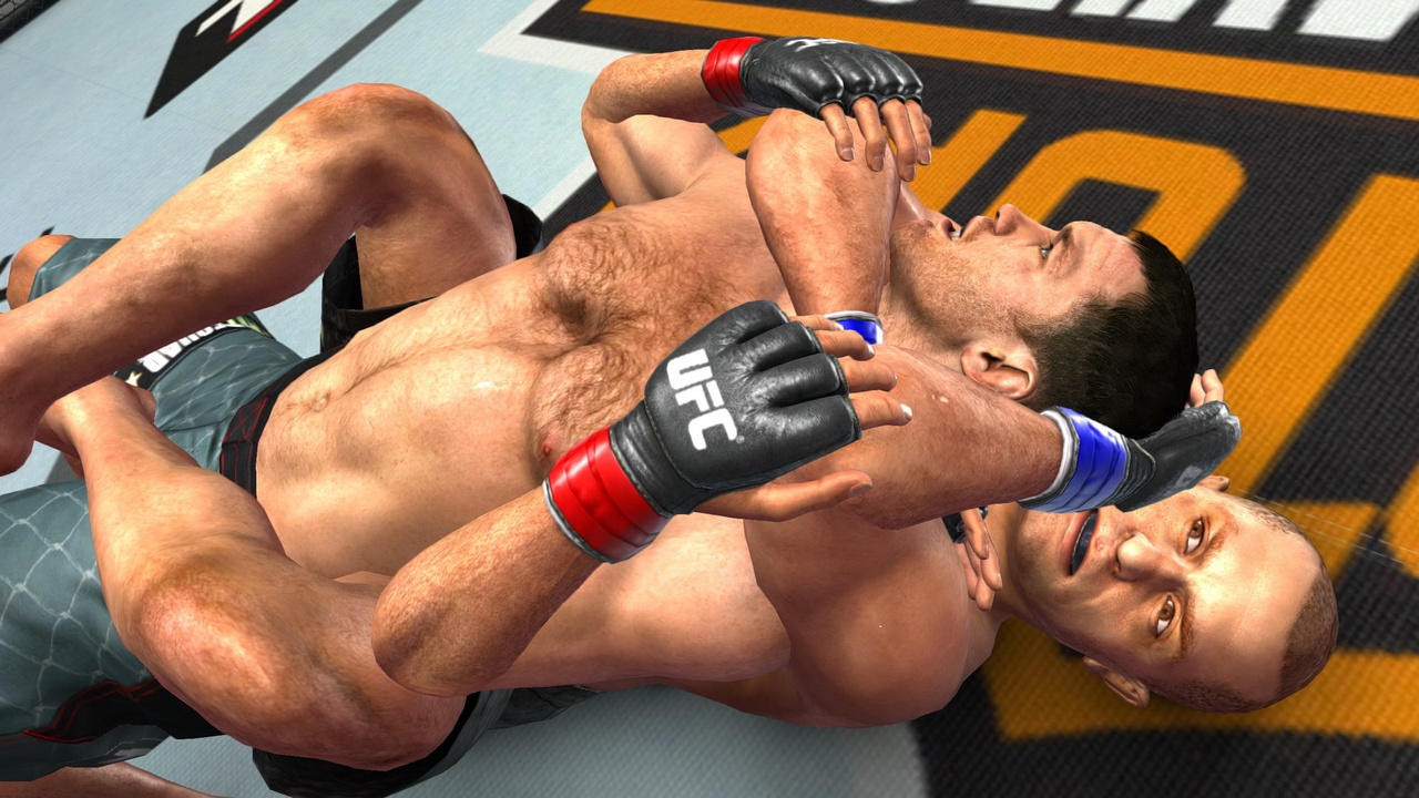 Скриншот из игры UFC 2009: Undisputed - 91