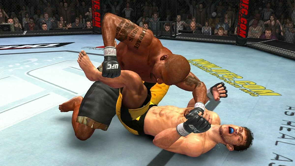 Скриншот из игры UFC 2009: Undisputed - 24