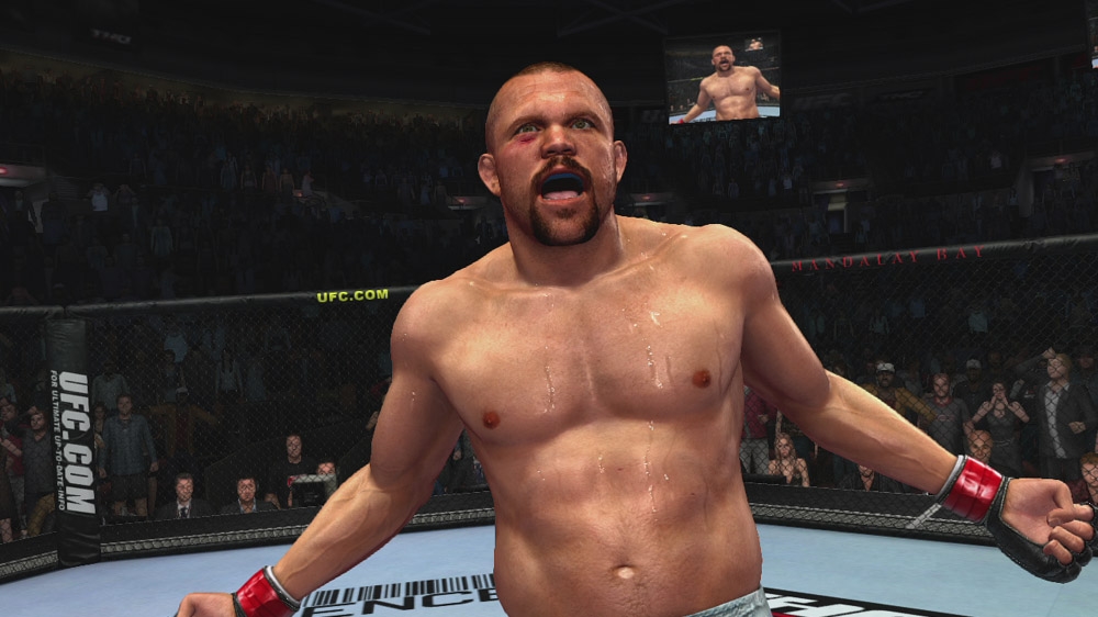Скриншот из игры UFC 2009: Undisputed - 14