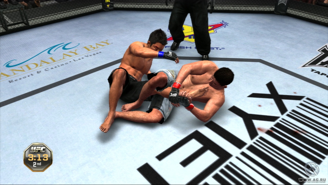 Скриншот из игры UFC Undisputed 2010 - 154