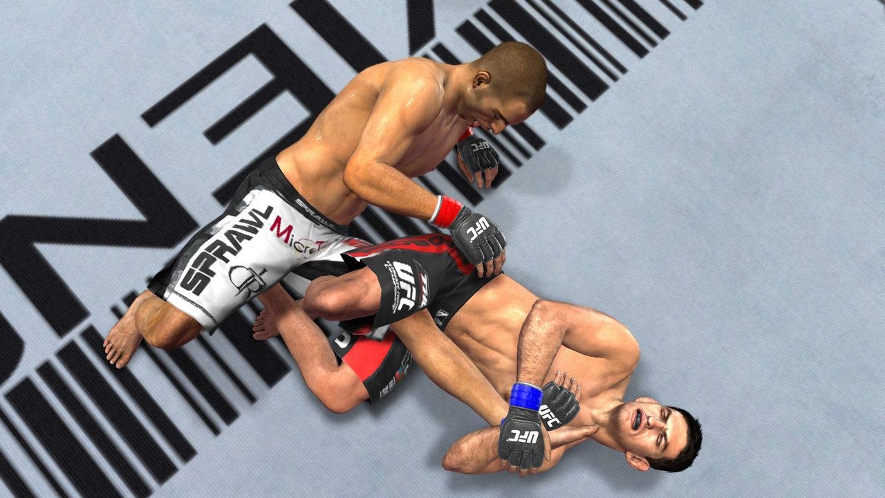 Скриншот из игры UFC Undisputed 2010 - 55