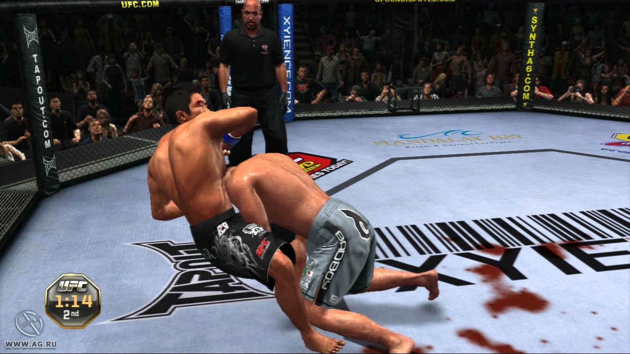 Скриншот из игры UFC Undisputed 2010 - 40