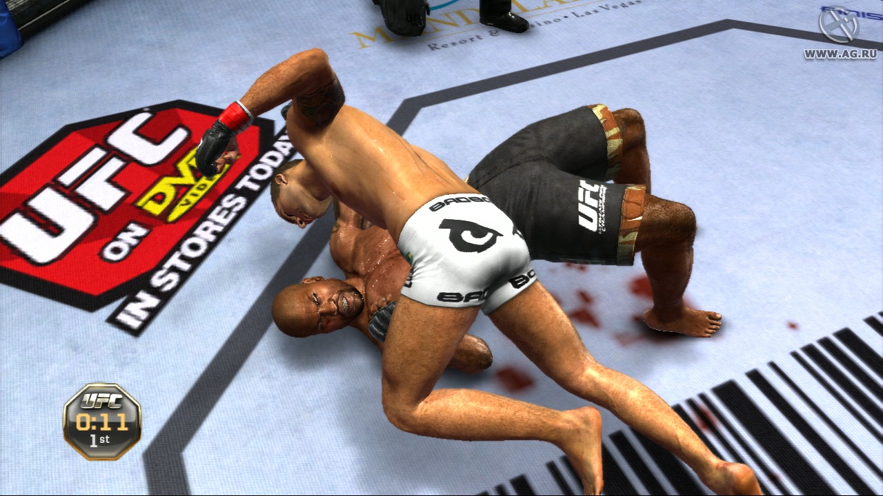 Скриншот из игры UFC Undisputed 2010 - 215