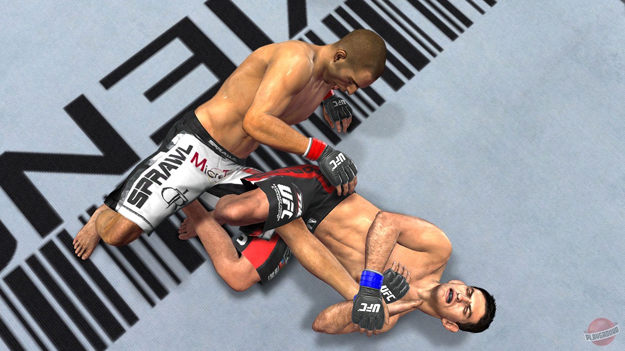 Скриншот из игры UFC Undisputed 2010 - 21