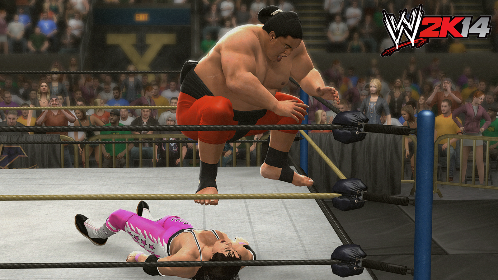 Скриншот из игры WWE 2K14 - 64
