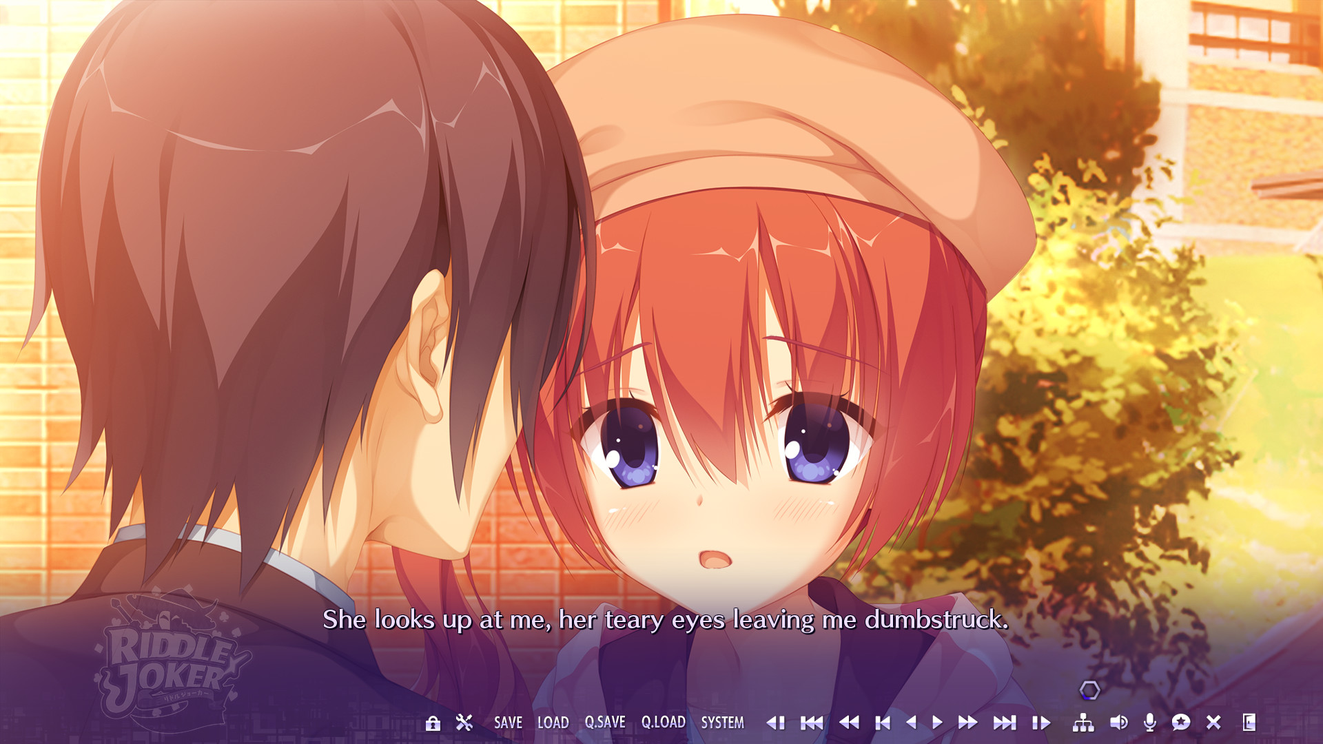 Скриншот из игры Riddle Joker - 35