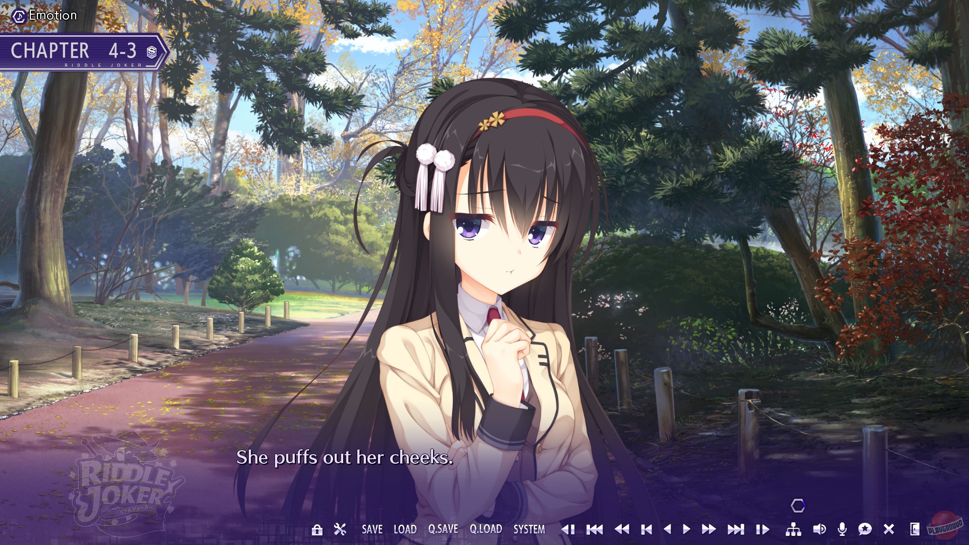 Скриншот из игры Riddle Joker - 2