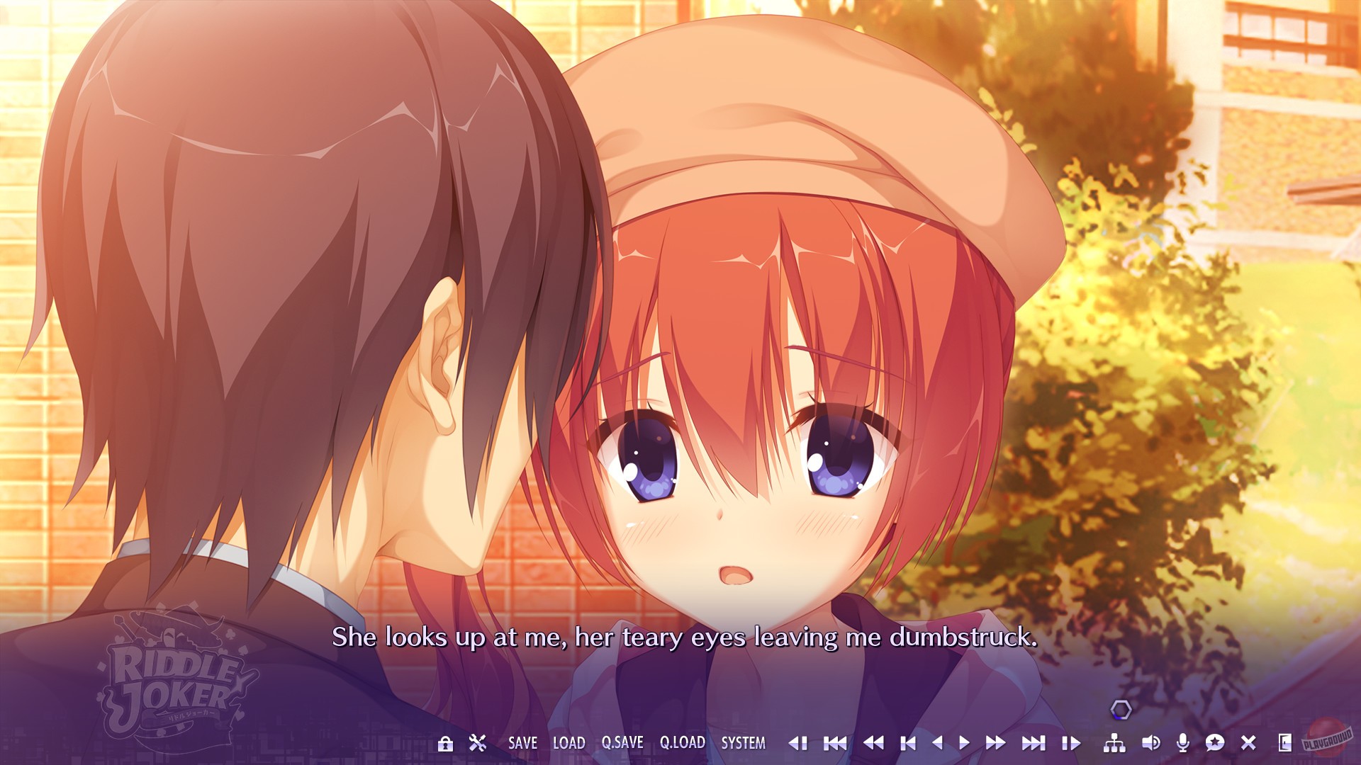 Скриншот из игры Riddle Joker - 17