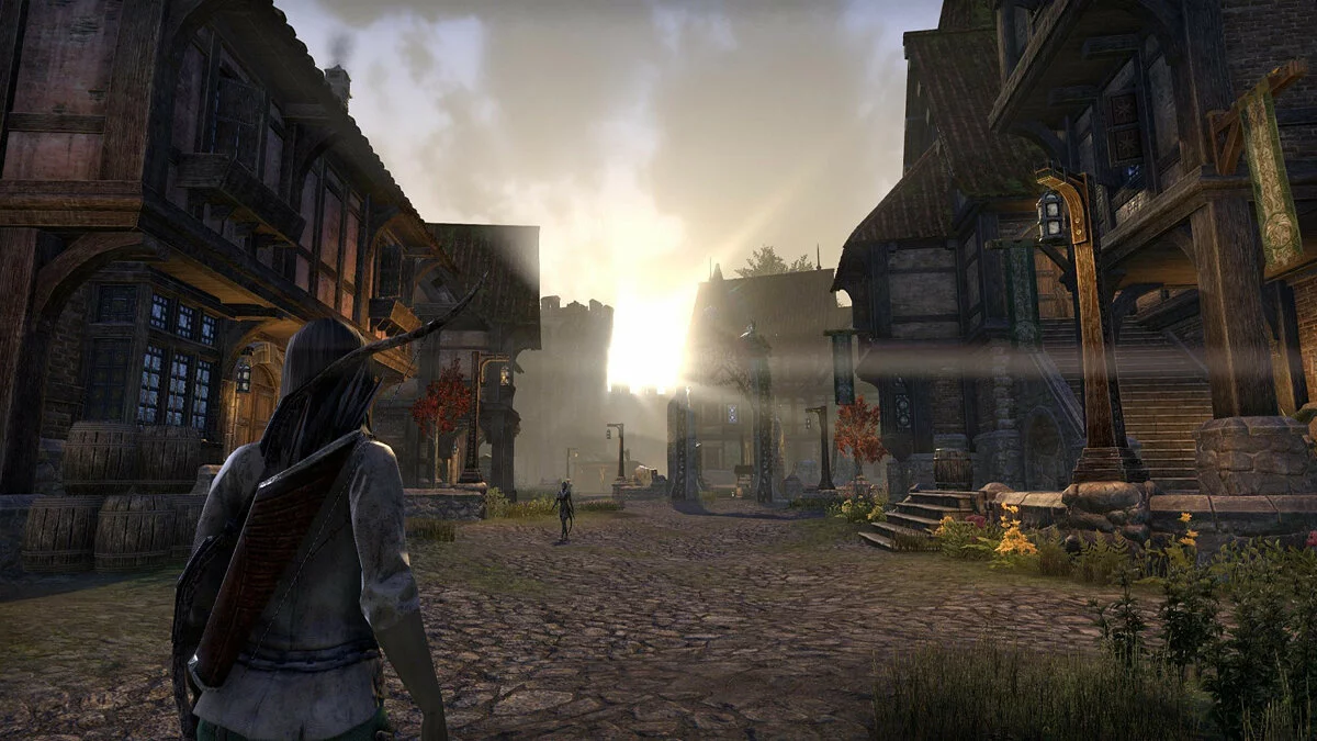 Скриншот из игры The Elder Scrolls Online: Blackwood - 2