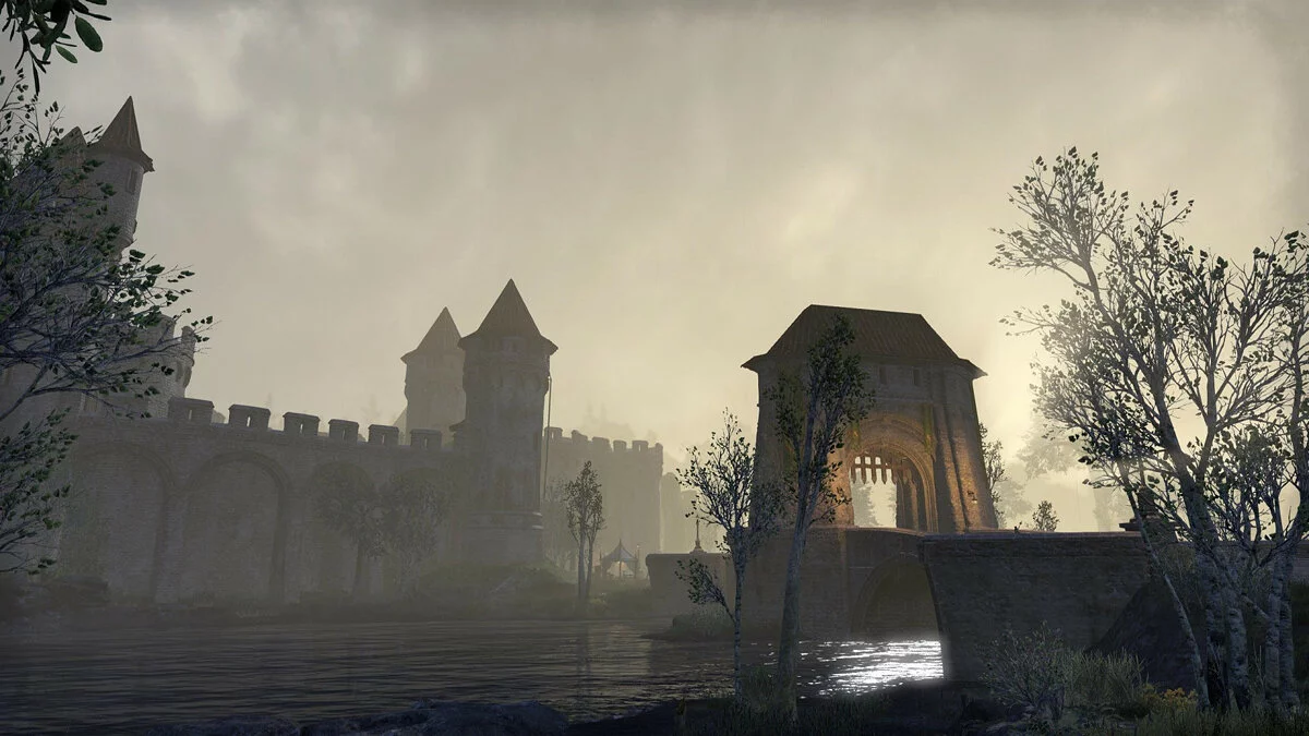 Скриншот из игры The Elder Scrolls Online: Blackwood - 11