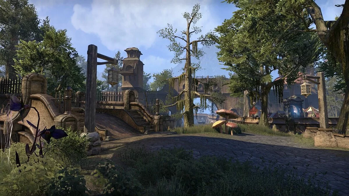 Скриншот из игры The Elder Scrolls Online: Morrowind - 25