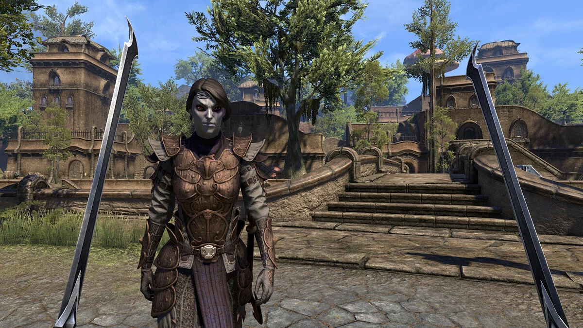Скриншот из игры The Elder Scrolls Online: Morrowind - 24