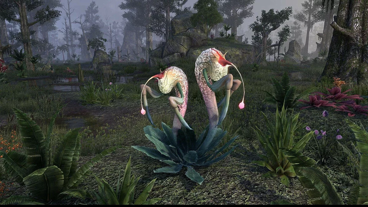 Скриншот из игры The Elder Scrolls Online: Murkmire - 5