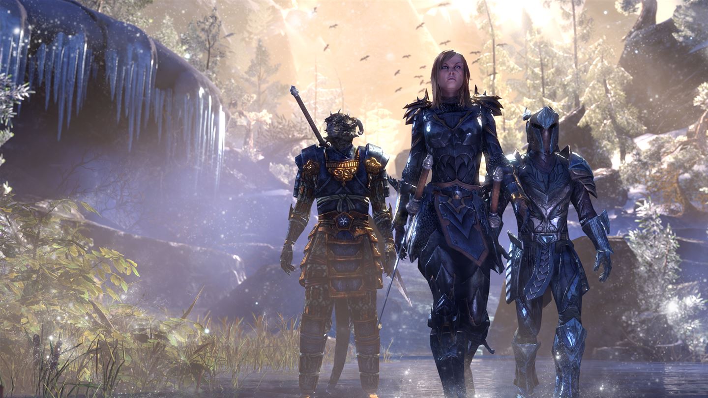 Скриншот из игры The Elder Scrolls Online: Tamriel Unlimited - 10