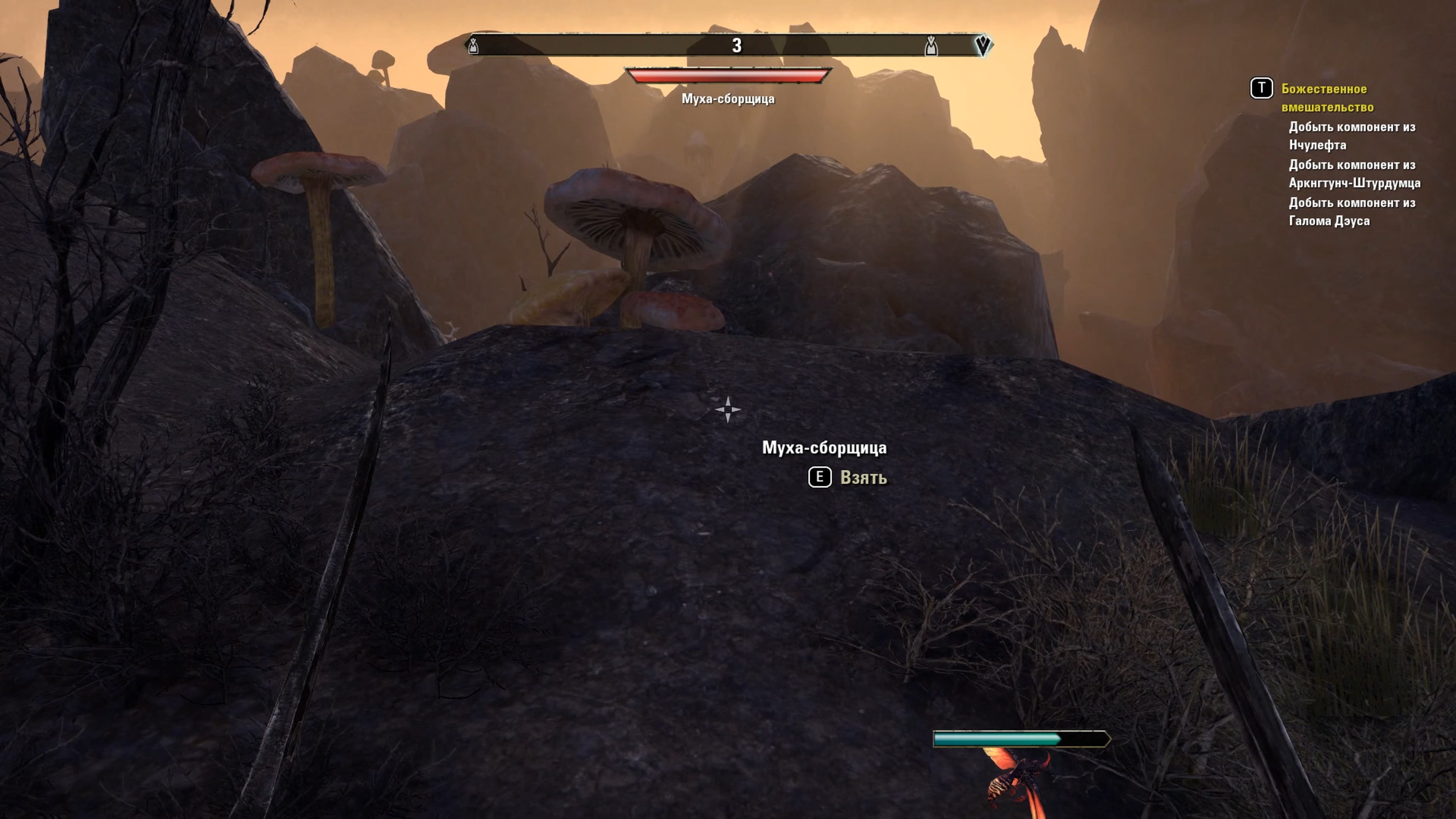 Скриншот из игры The Elder Scrolls Online - 241