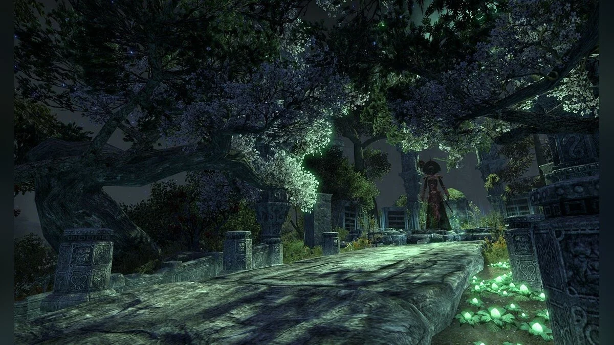 Скриншот из игры The Elder Scrolls Online - 198