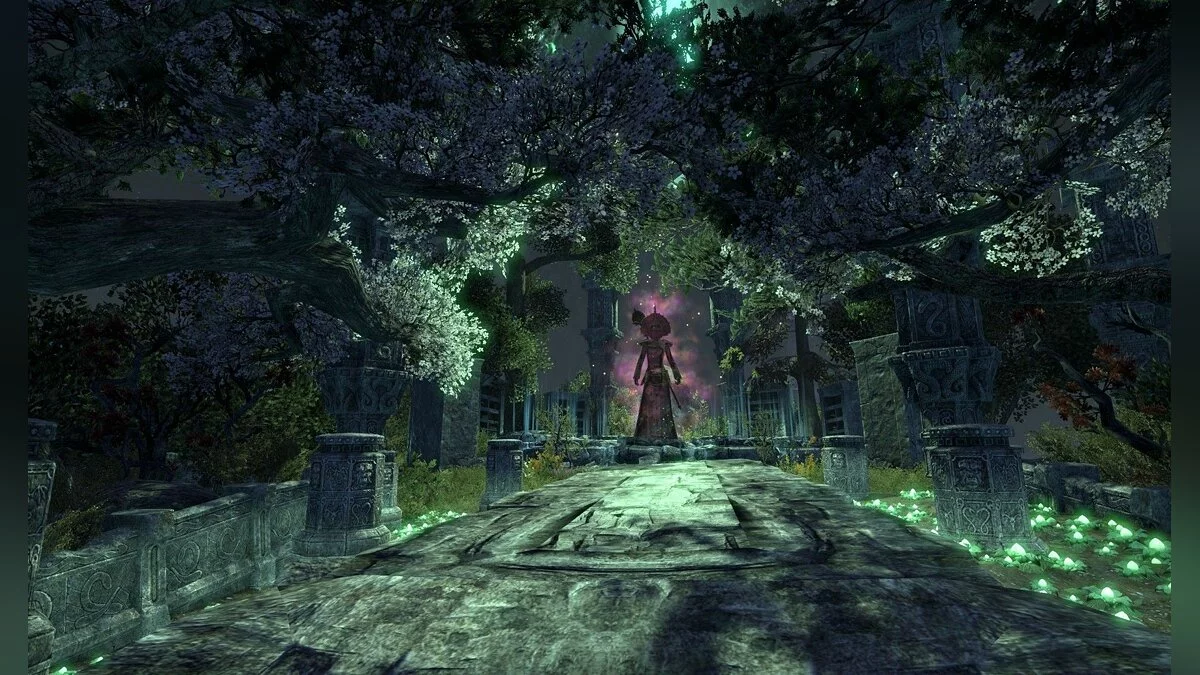 Скриншот из игры The Elder Scrolls Online - 187
