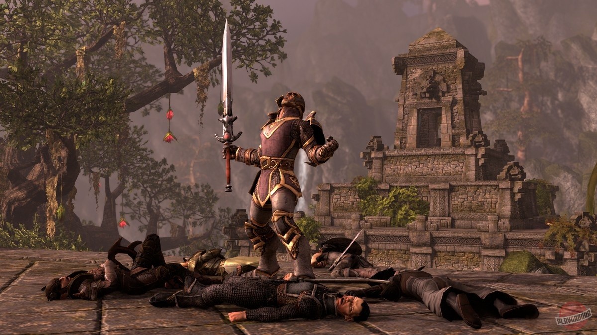 Скриншот из игры The Elder Scrolls Online - 238