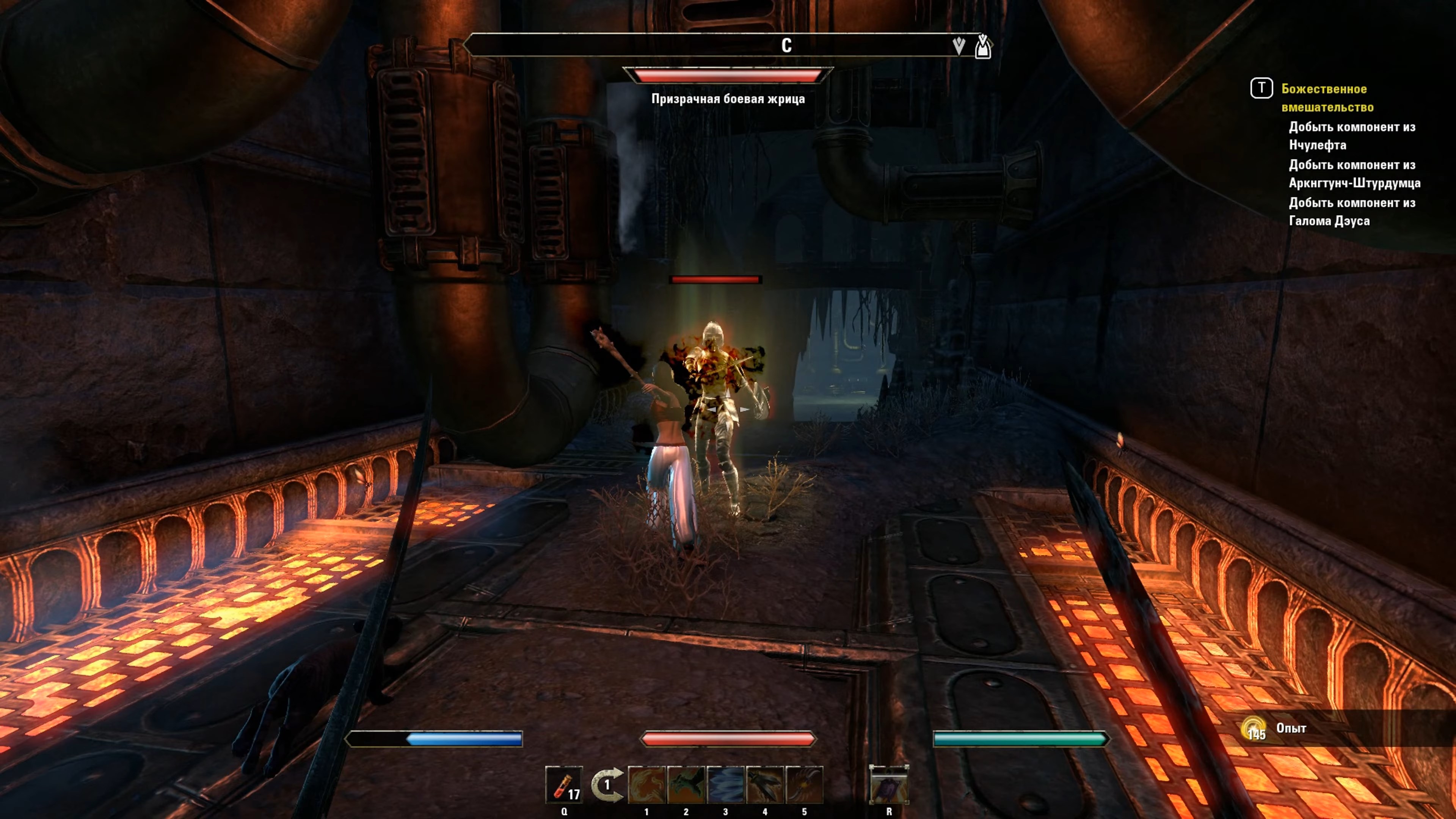 Скриншот из игры The Elder Scrolls Online - 206