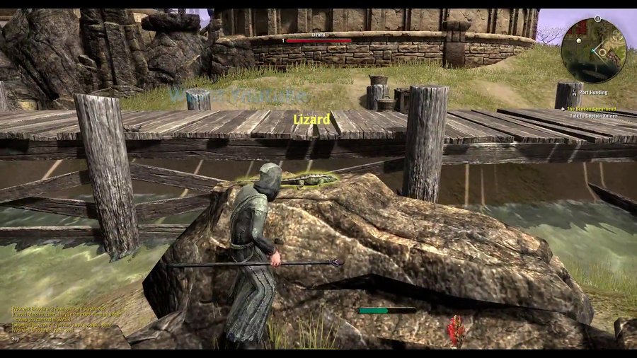 Скриншот из игры The Elder Scrolls Online - 1