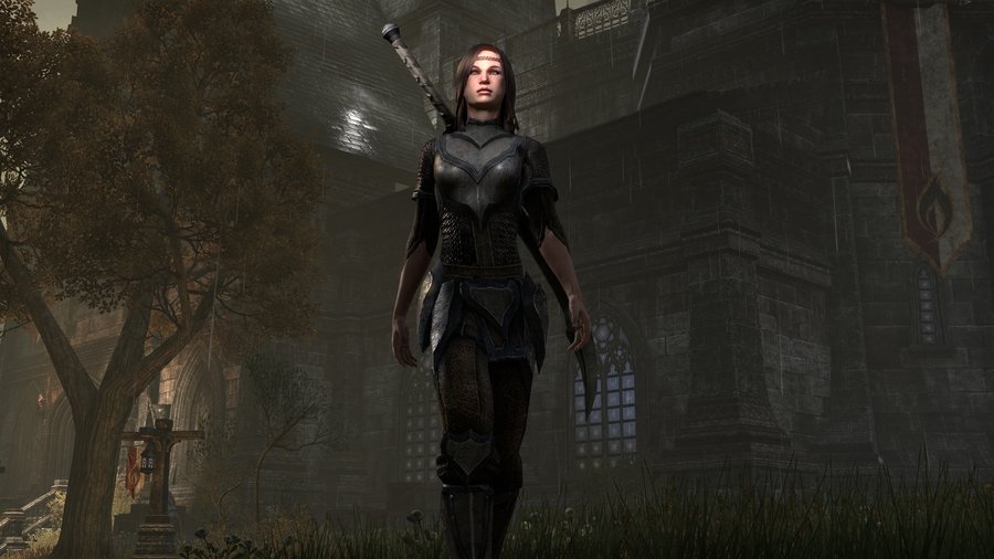 Скриншот из игры The Elder Scrolls Online - 105