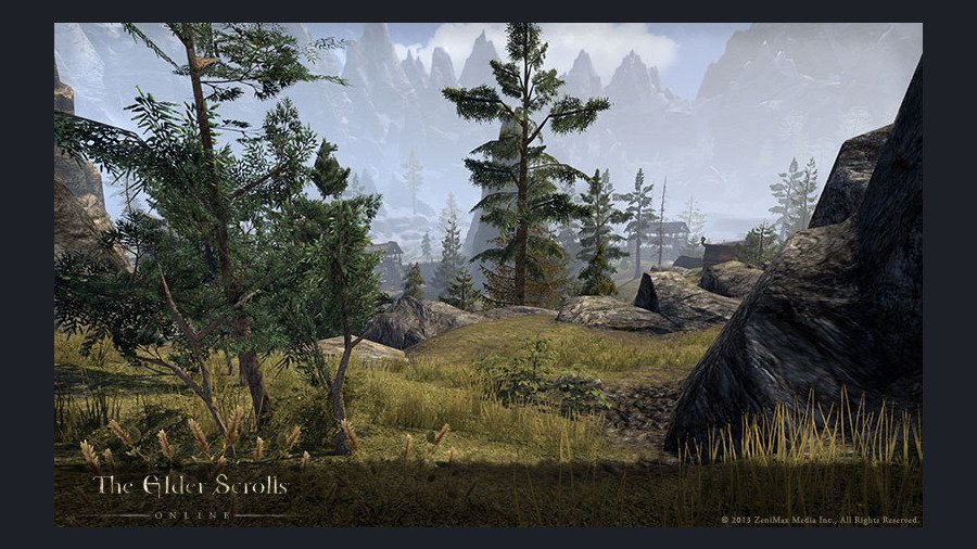 Скриншот из игры The Elder Scrolls Online - 13