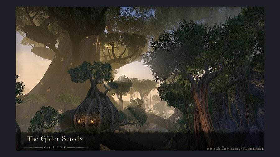 Скриншот из игры The Elder Scrolls Online - 16