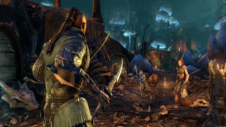 Скриншот из игры The Elder Scrolls Online - 152
