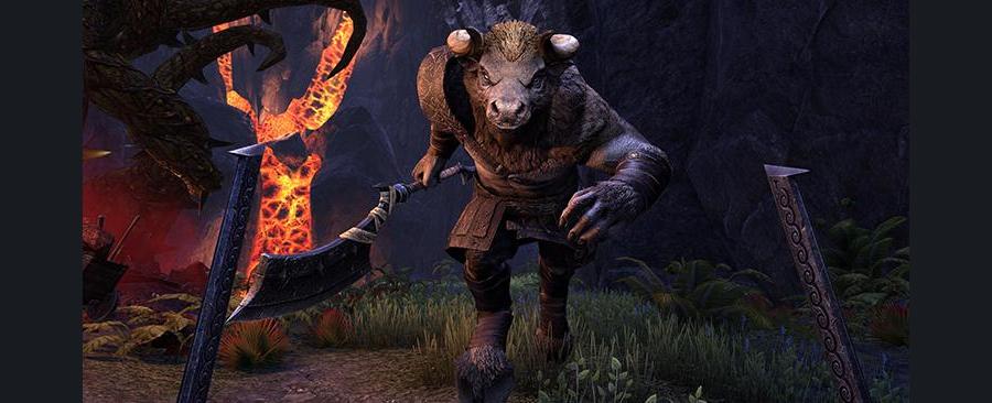 Скриншот из игры The Elder Scrolls Online - 165