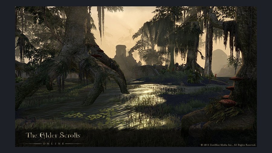 Скриншот из игры The Elder Scrolls Online - 21
