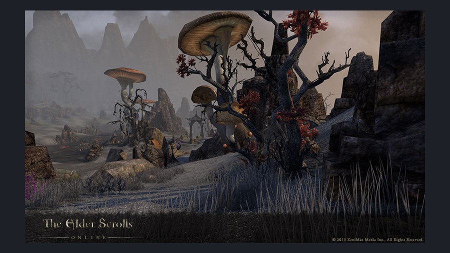 Скриншот из игры The Elder Scrolls Online - 22