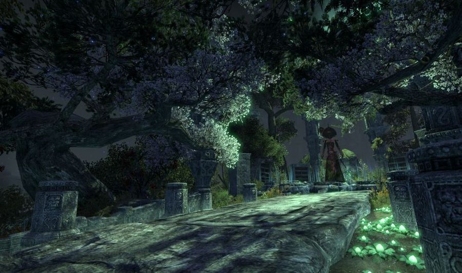 Скриншот из игры The Elder Scrolls Online - 30