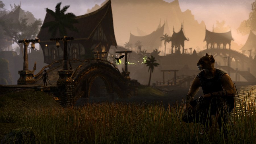 Скриншот из игры The Elder Scrolls Online - 51