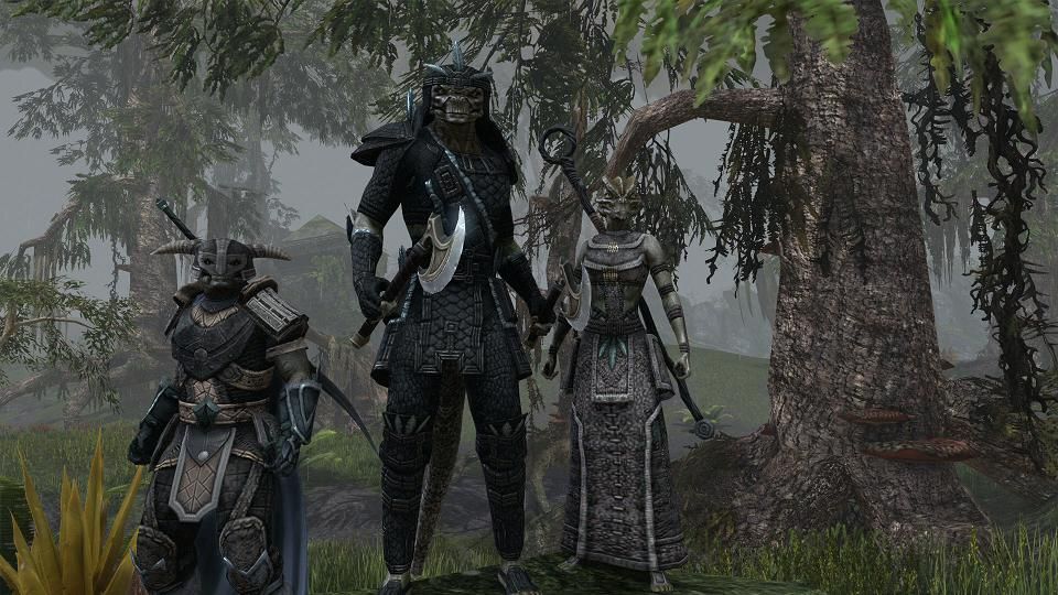 Скриншот из игры The Elder Scrolls Online - 62