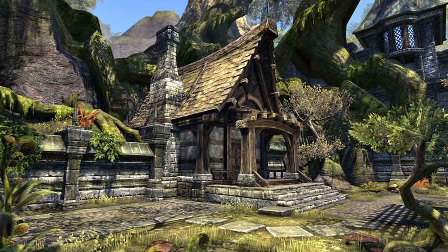 Скриншот из игры The Elder Scrolls Online - 81