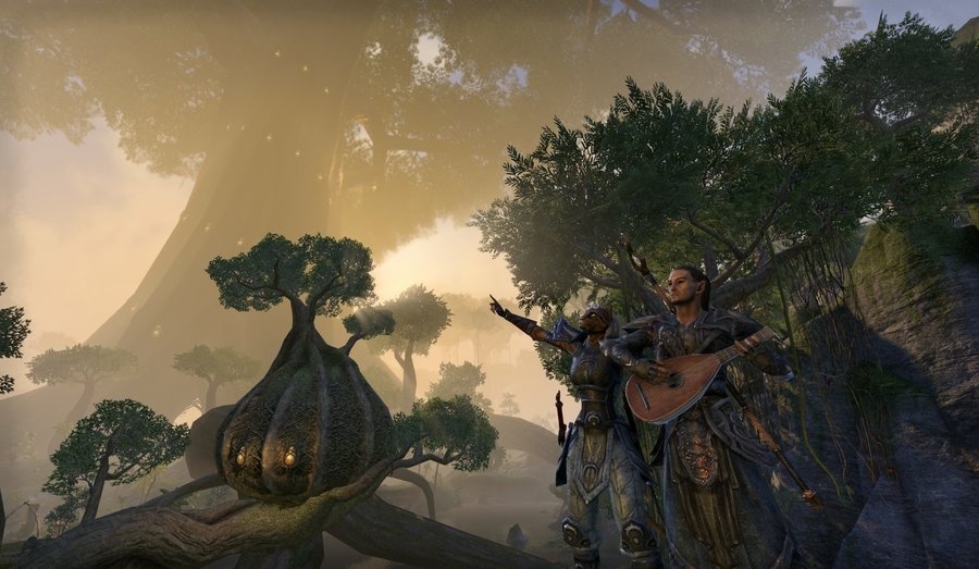 Скриншот из игры The Elder Scrolls Online - 84