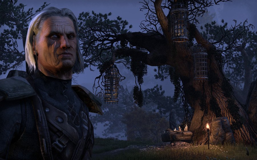 Скриншот из игры The Elder Scrolls Online - 100