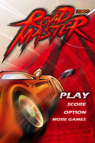 Скриншот из игры 2009 Road Master - 4