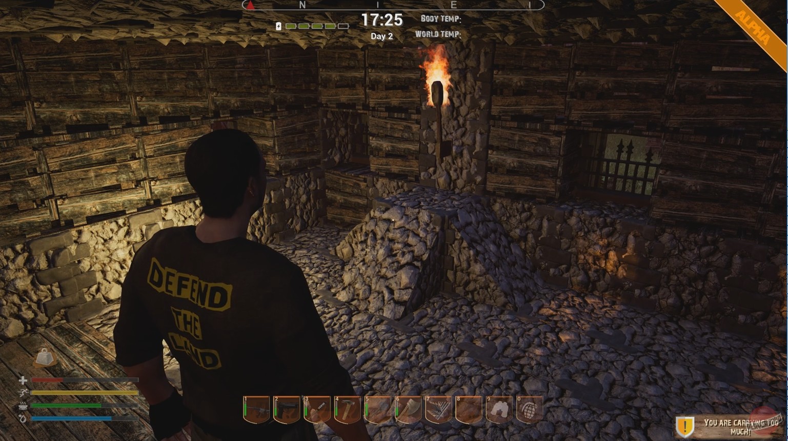 Скриншот из игры Road to Eden - 11